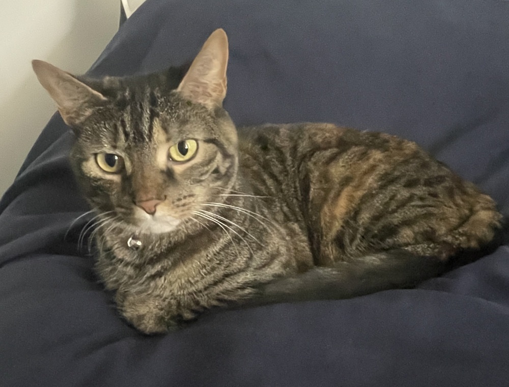 Peanut