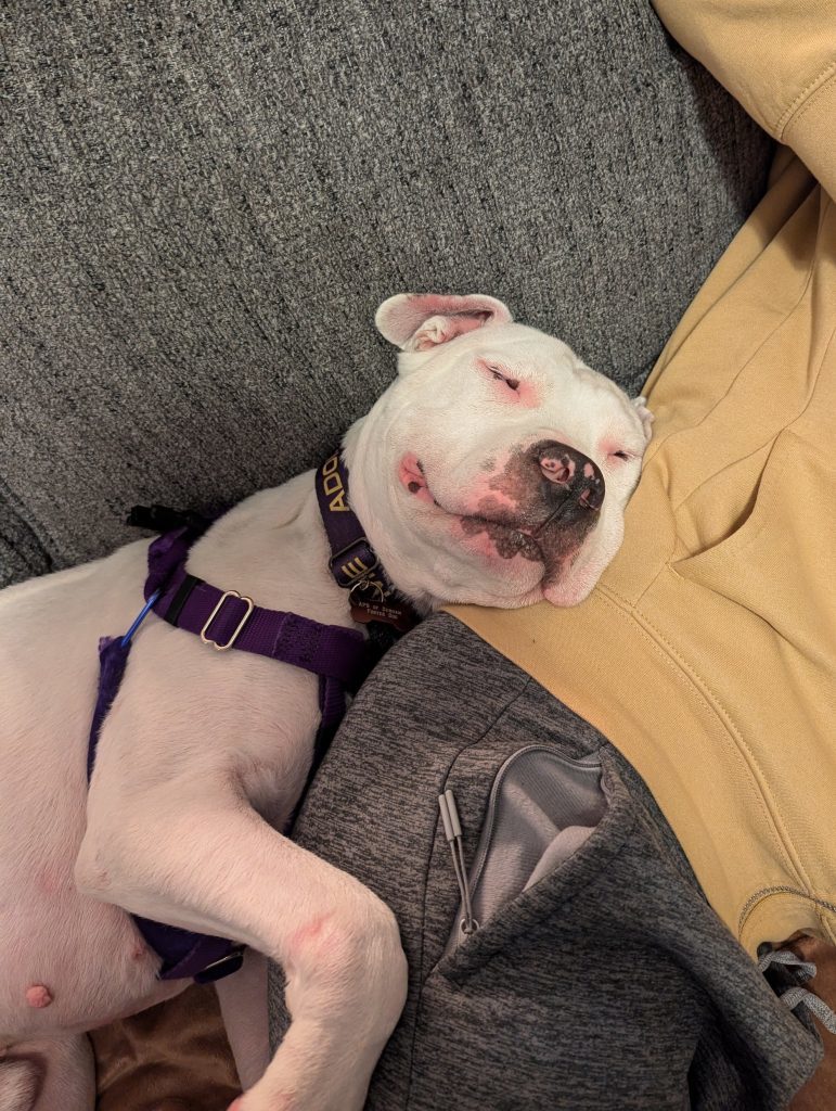 Rufus