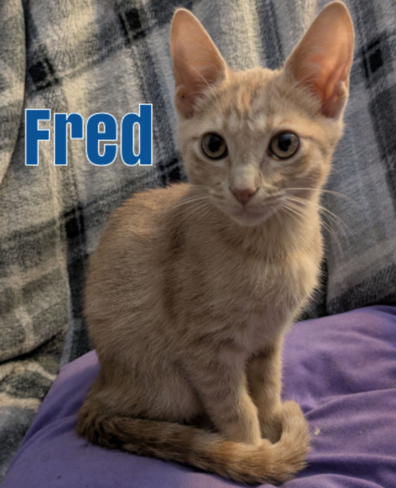 Fred