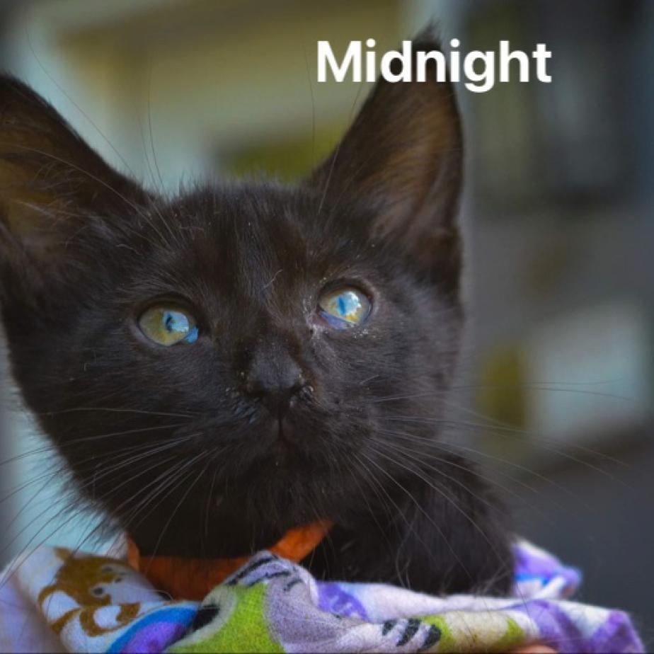 Midnight
