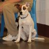 June Bug photo 4
