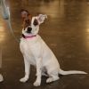 June Bug photo 5
