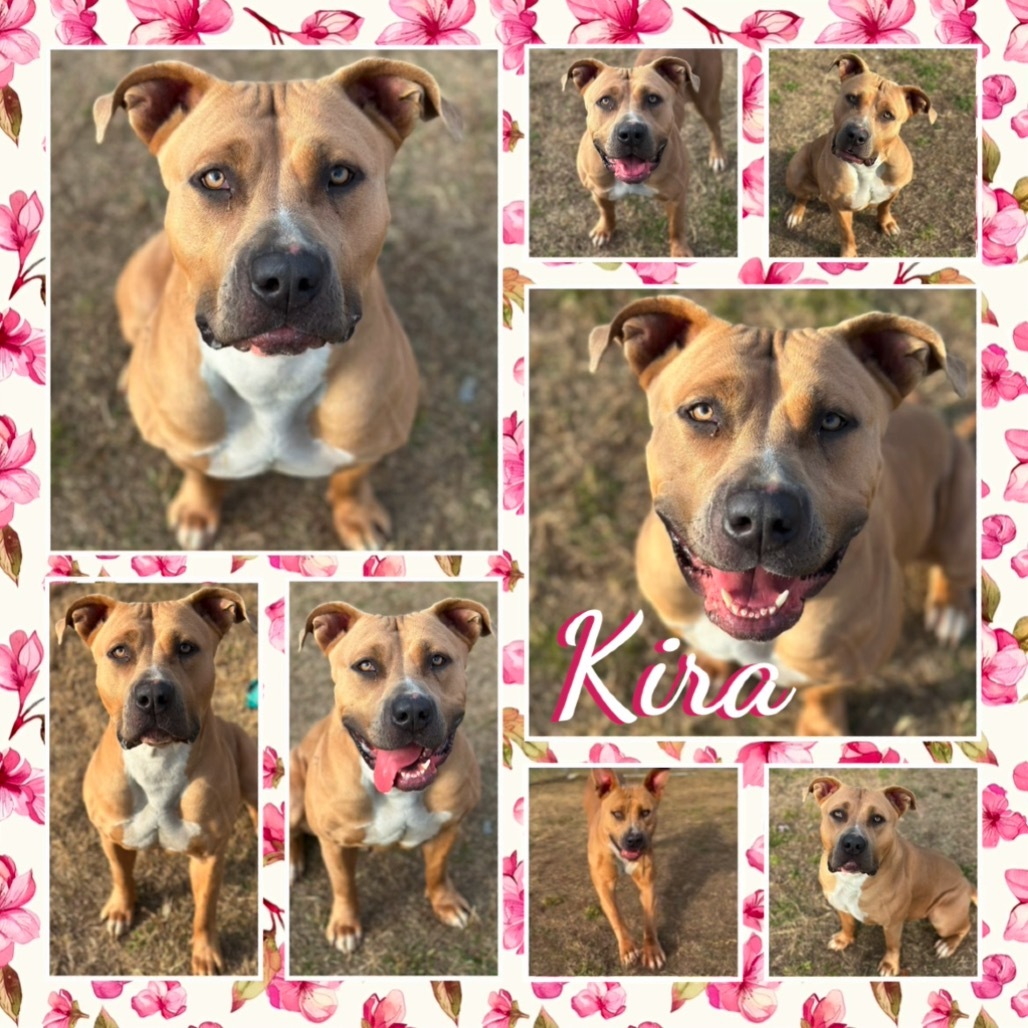 Kira