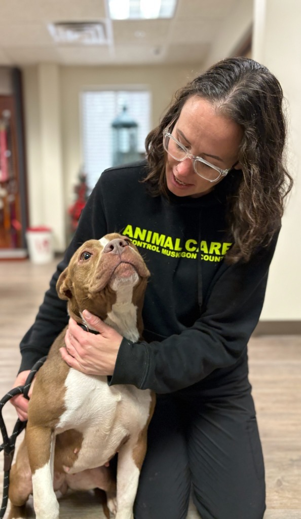Punkin, an adoptable Mixed Breed in Muskegon, MI, 49442 | Photo Image 4