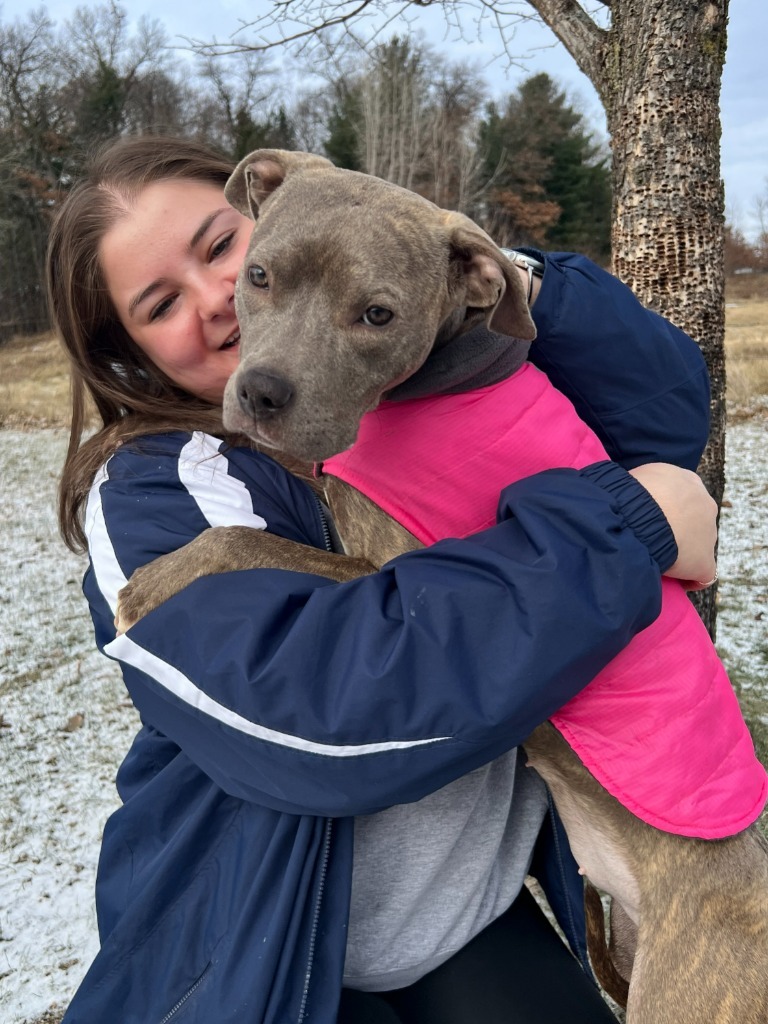 Cookie, an adoptable Mixed Breed in Menomonie, WI, 54751 | Photo Image 3