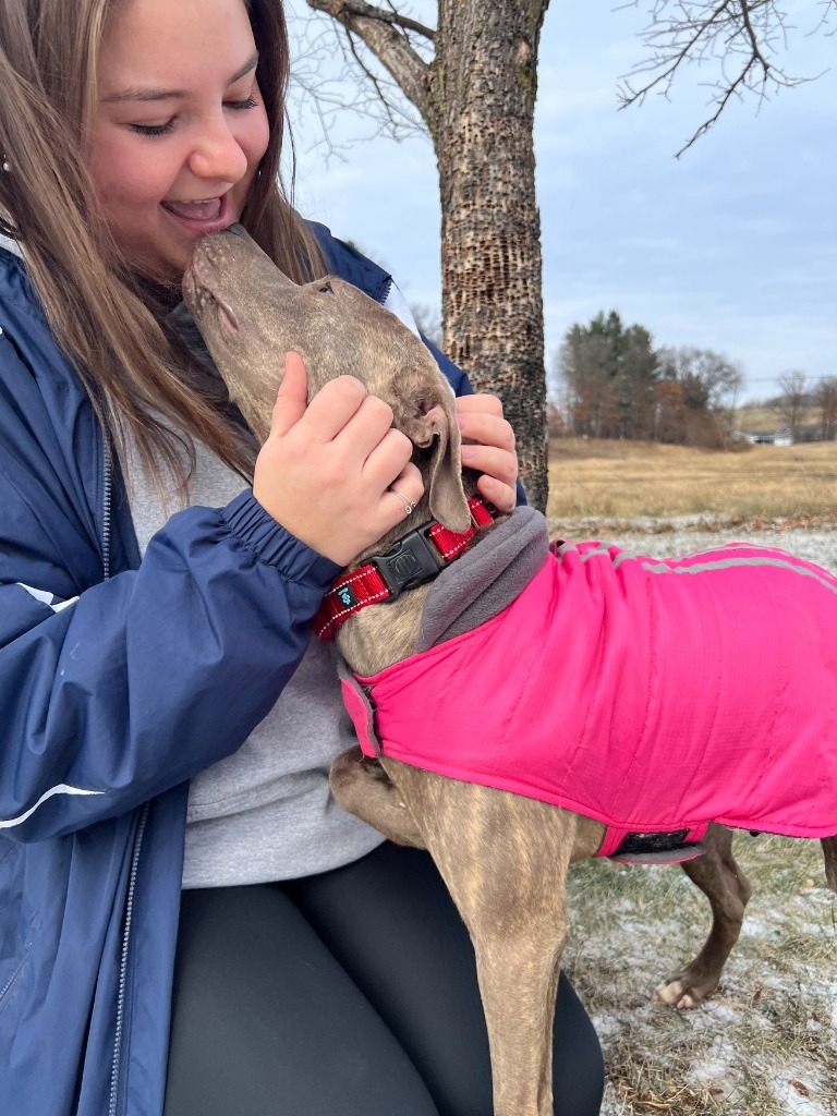 Cookie, an adoptable Mixed Breed in Menomonie, WI, 54751 | Photo Image 4