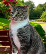 Marvin