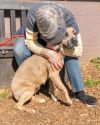 Indy- IN FOSTER photo 2