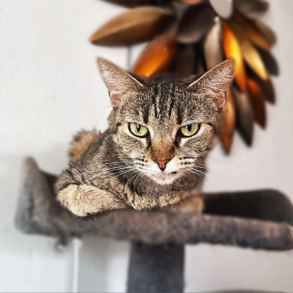 Kami