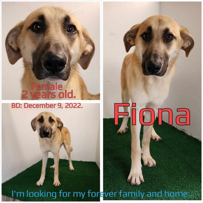 Fiona