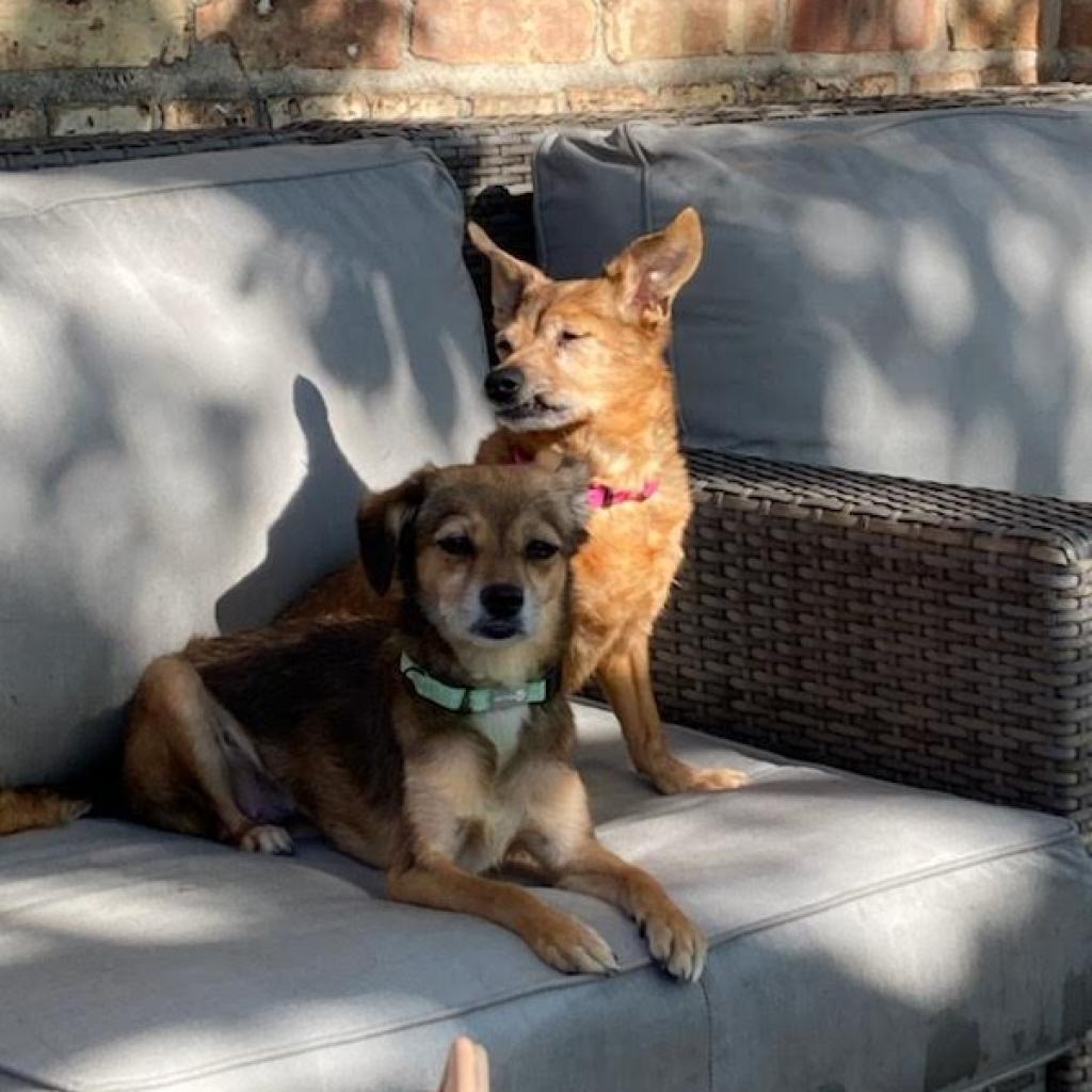 Donita bonded with Juanita