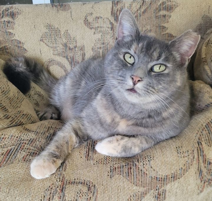 Little Fat Girl 1