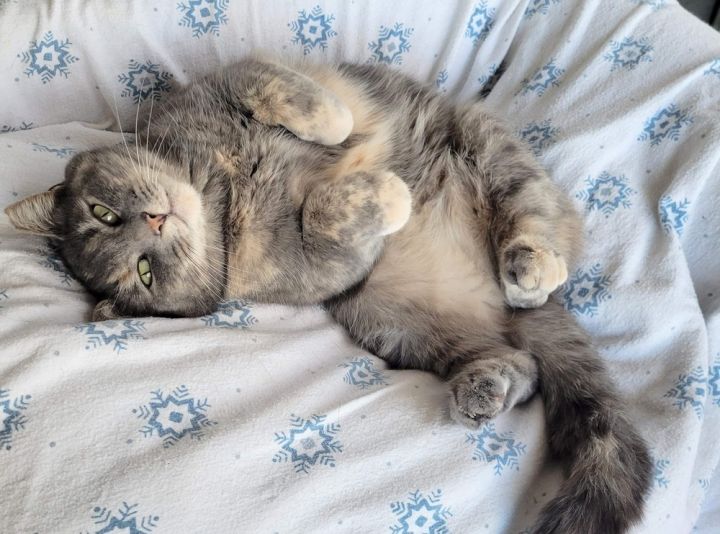 Little Fat Girl 2
