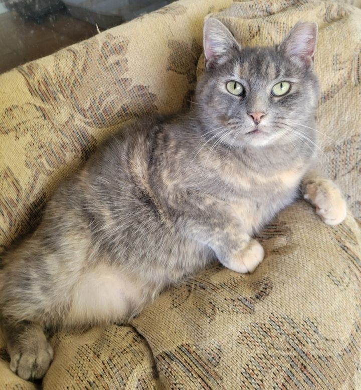 Little Fat Girl 3