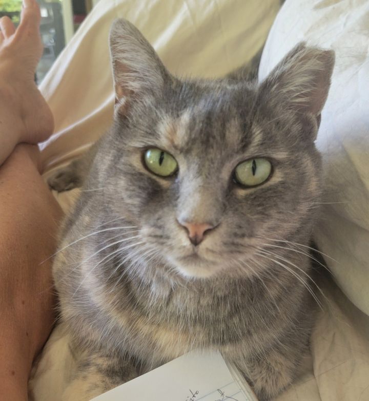 Little Fat Girl 4