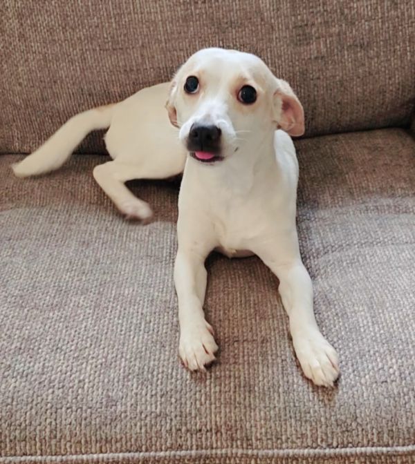 Chloe