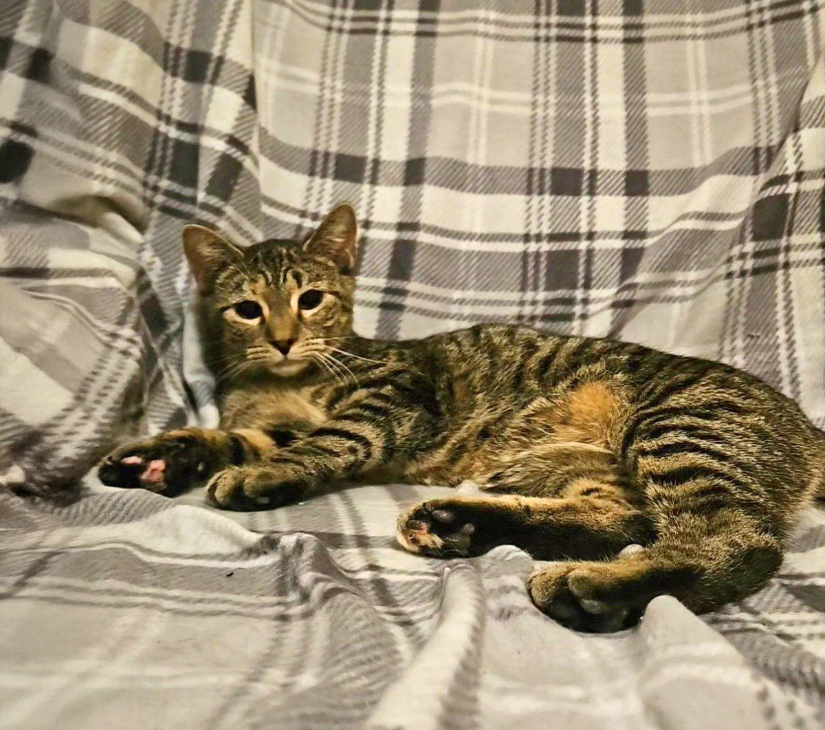 *Sabrina