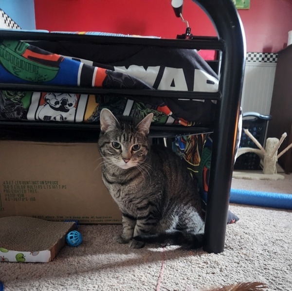 Luna-Please Call (402) 473-5377