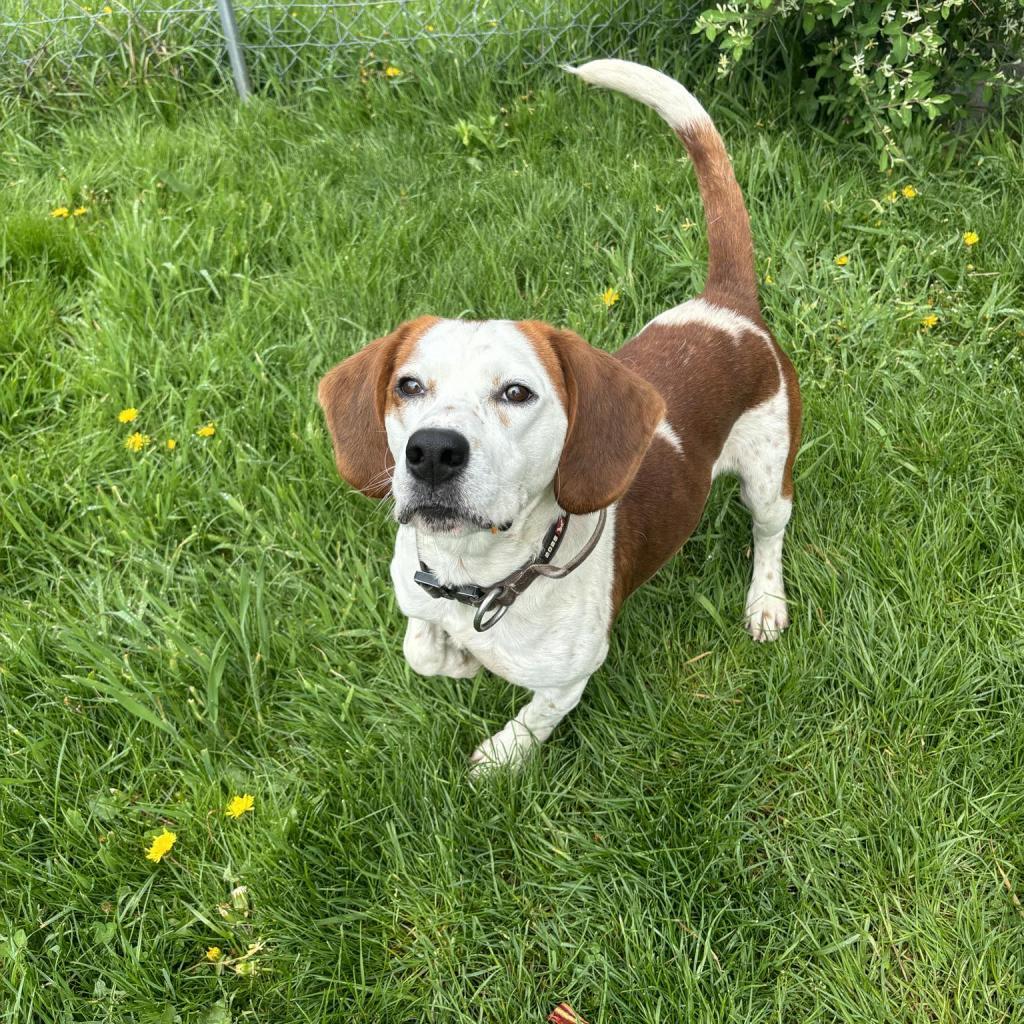 Roscoe