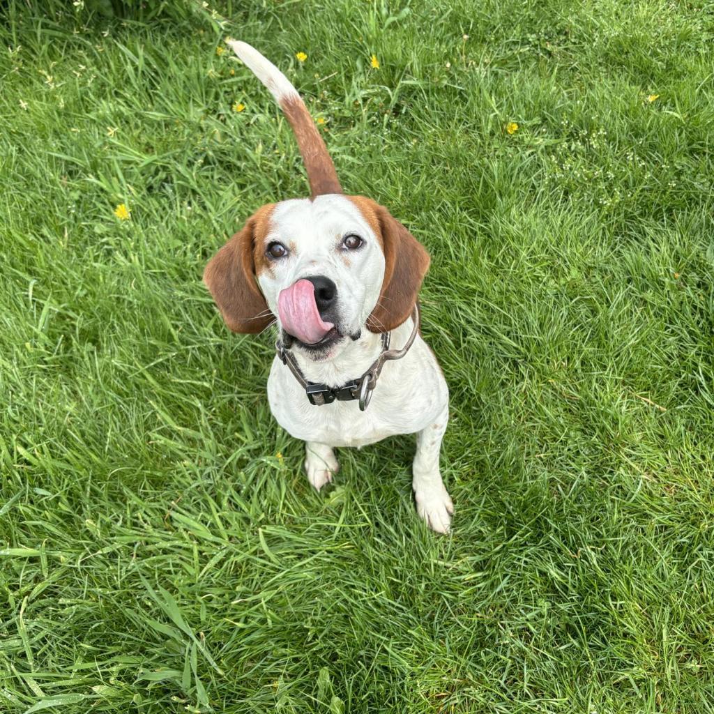 Roscoe
