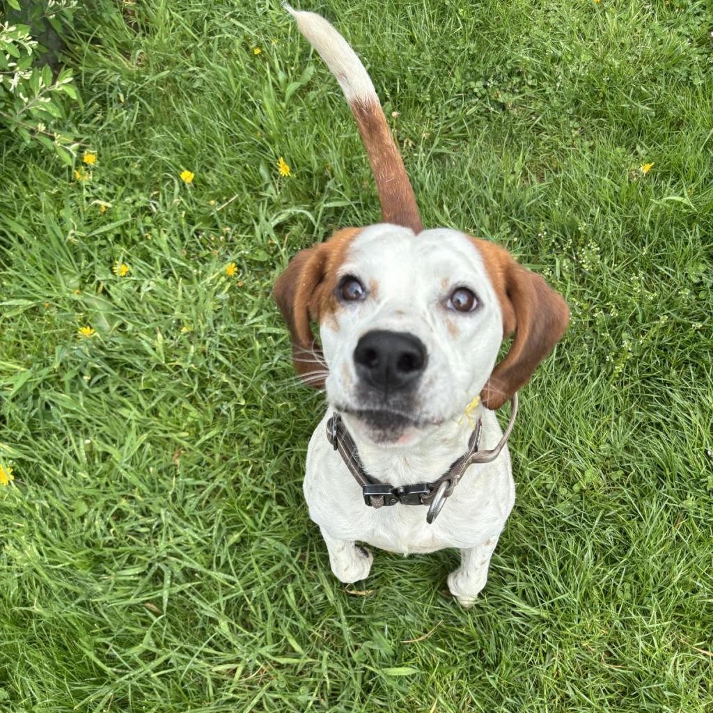 Roscoe