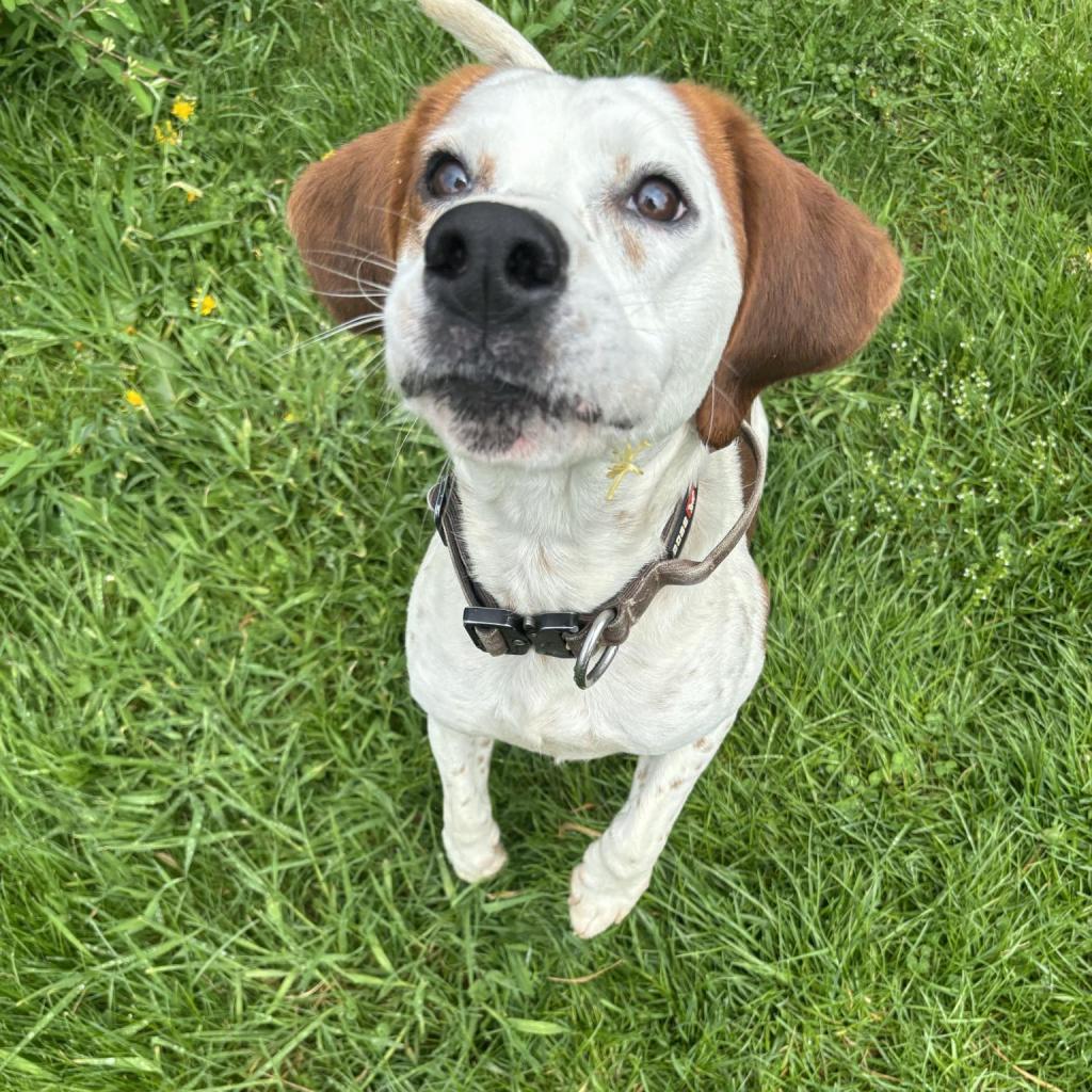 Roscoe