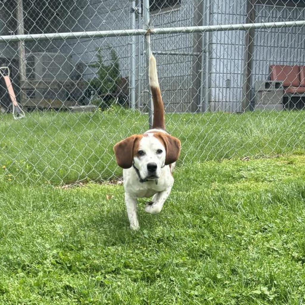 Roscoe
