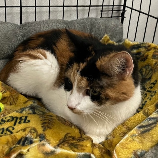 Delilah