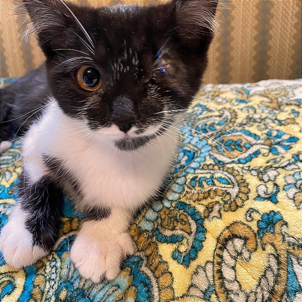 Billy