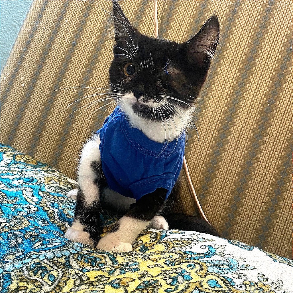 Billy