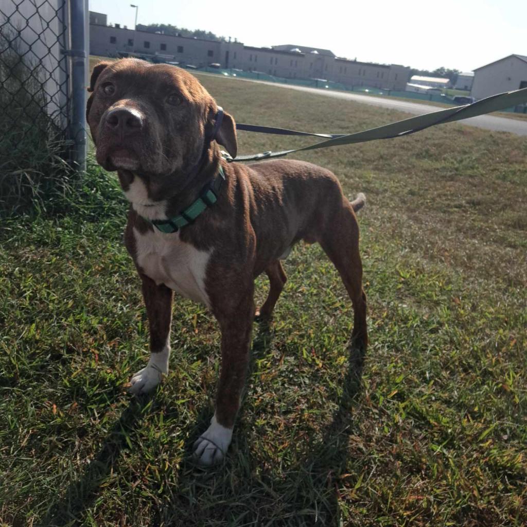Zeke