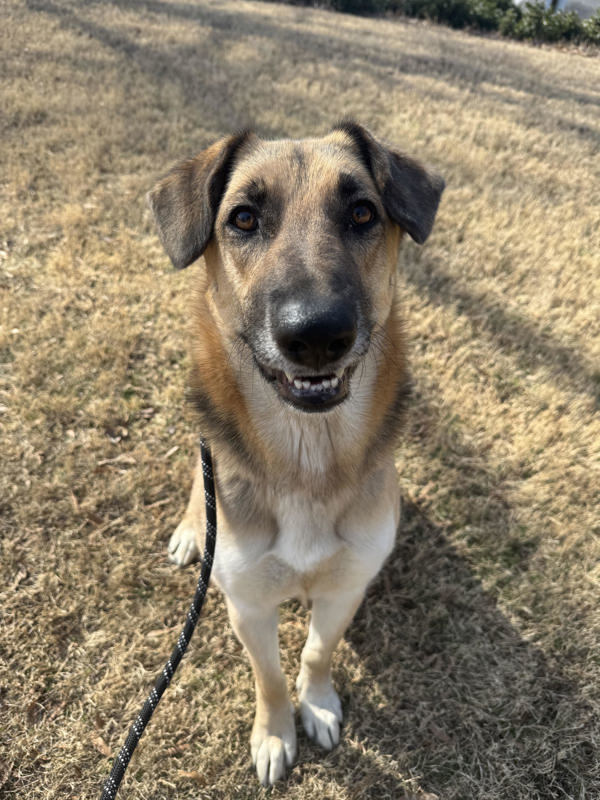 Cheyenne