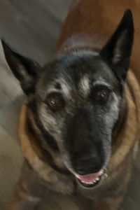 Sasha photo 1