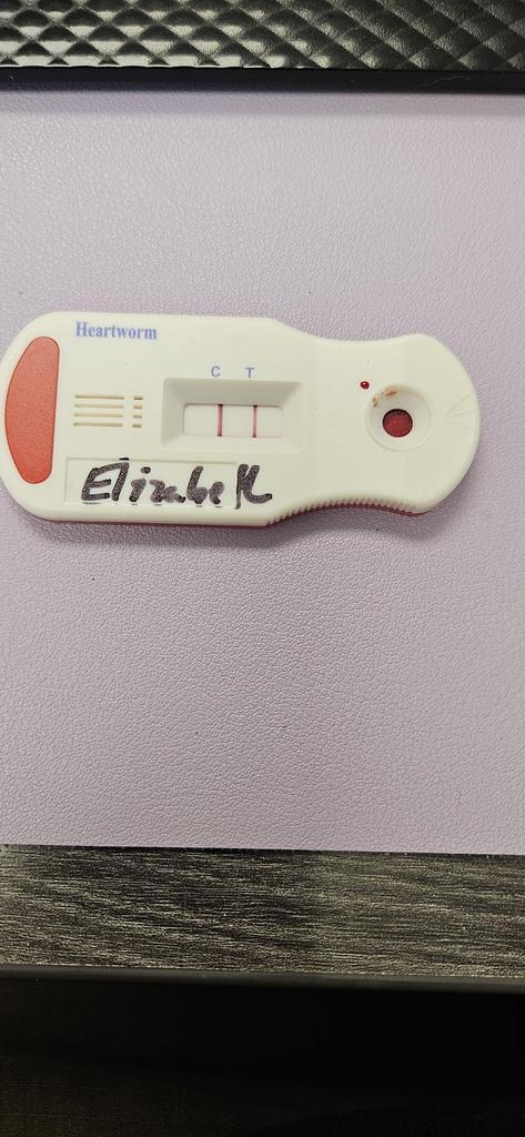 Elizabeth (Shug)