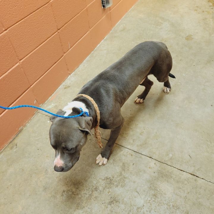 Ernest (Dallas) 2