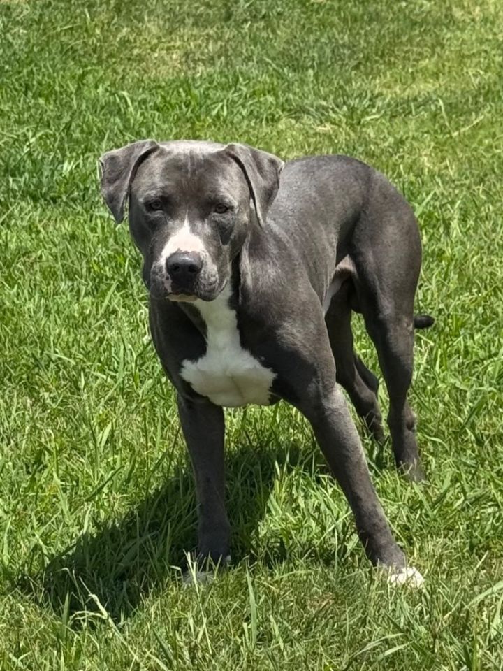 Ernest (Dallas) 4