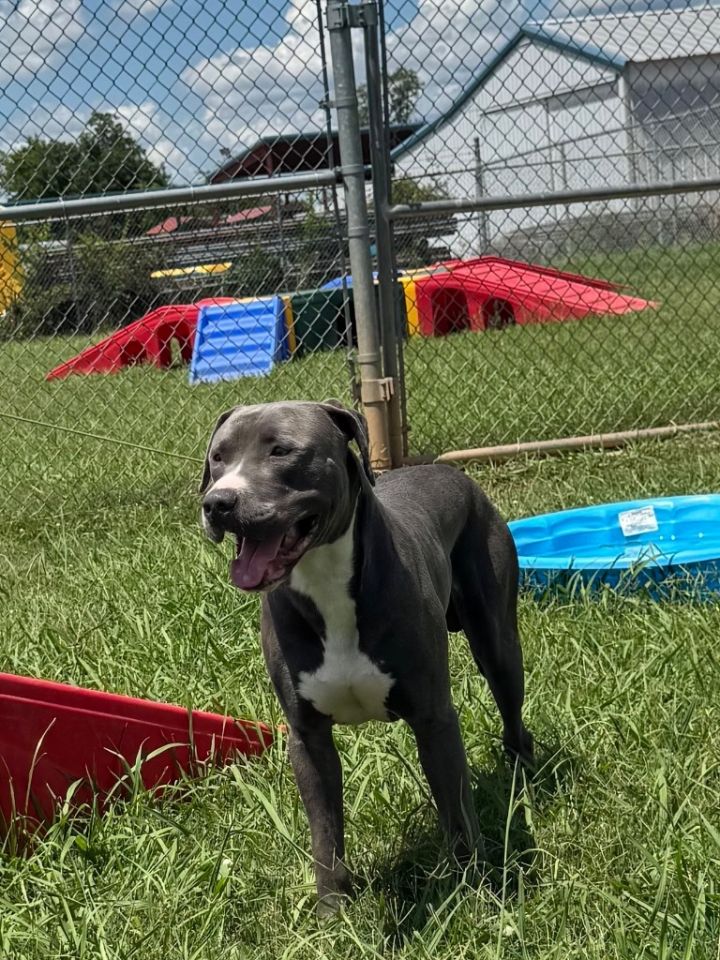 Ernest (Dallas) 5