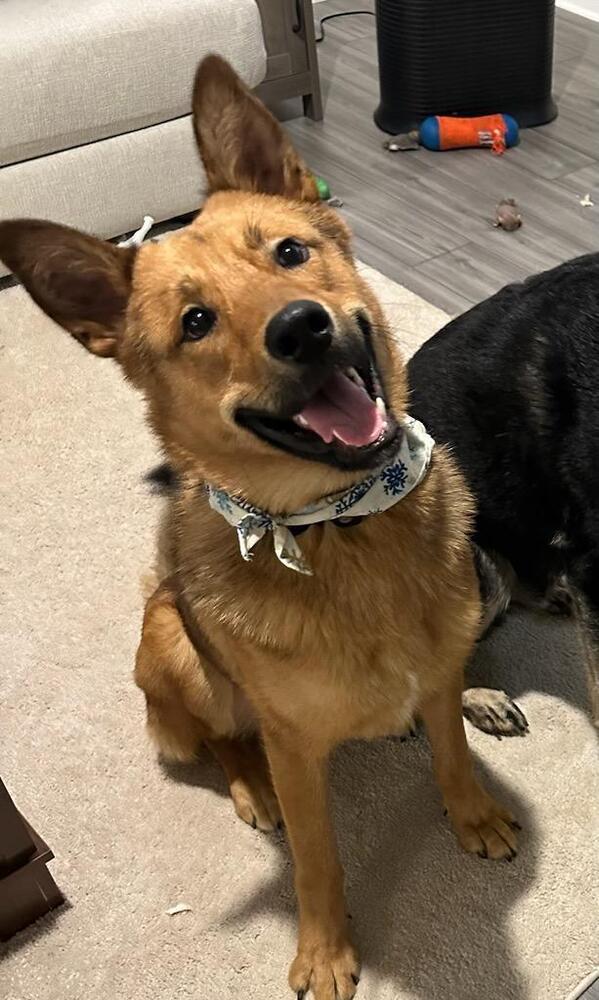 Kylo