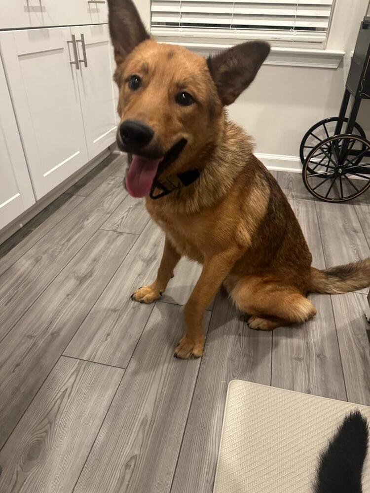 Kylo