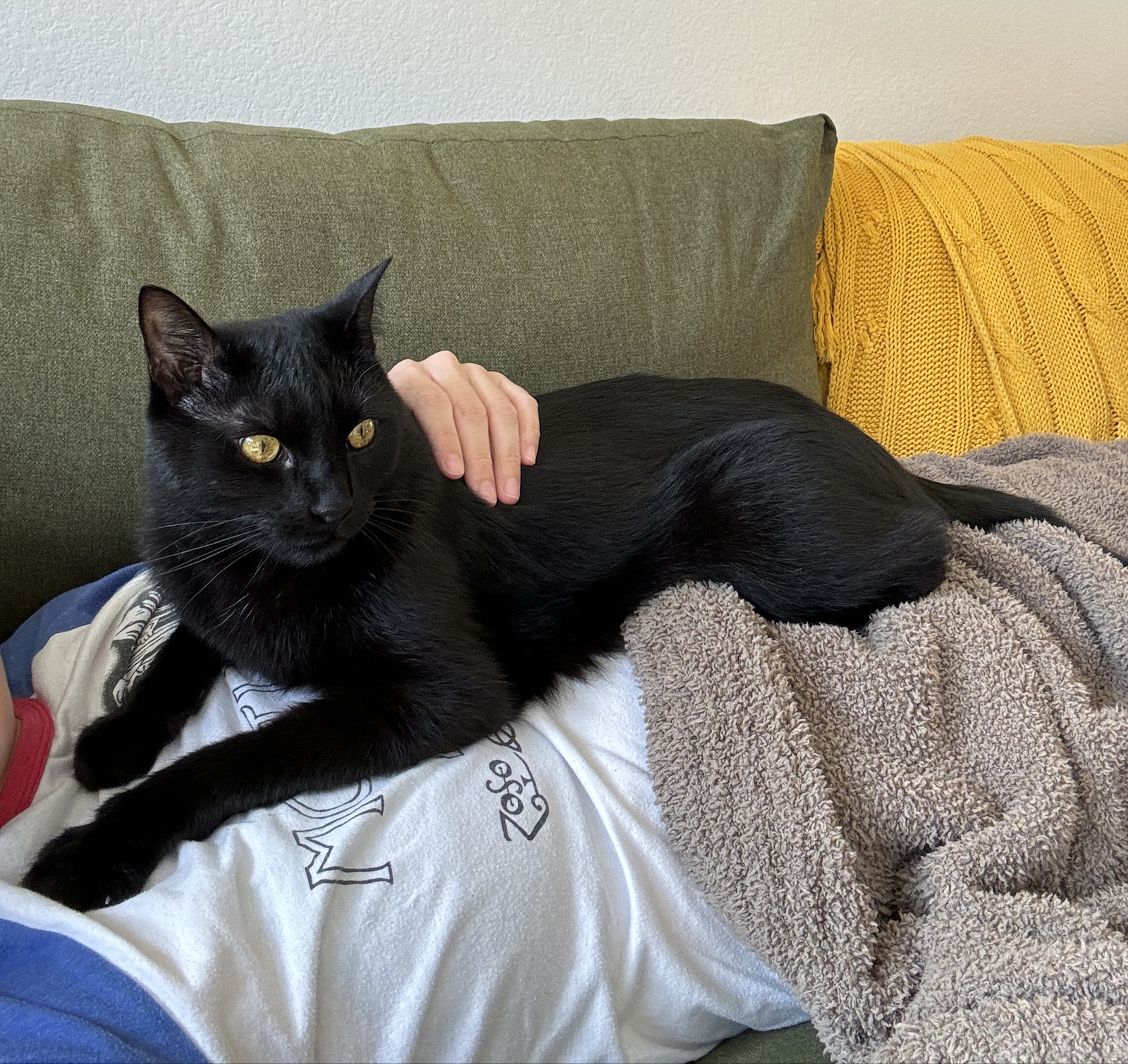 Paco