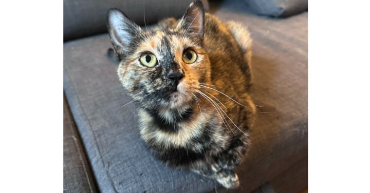 Lil' Mama 1