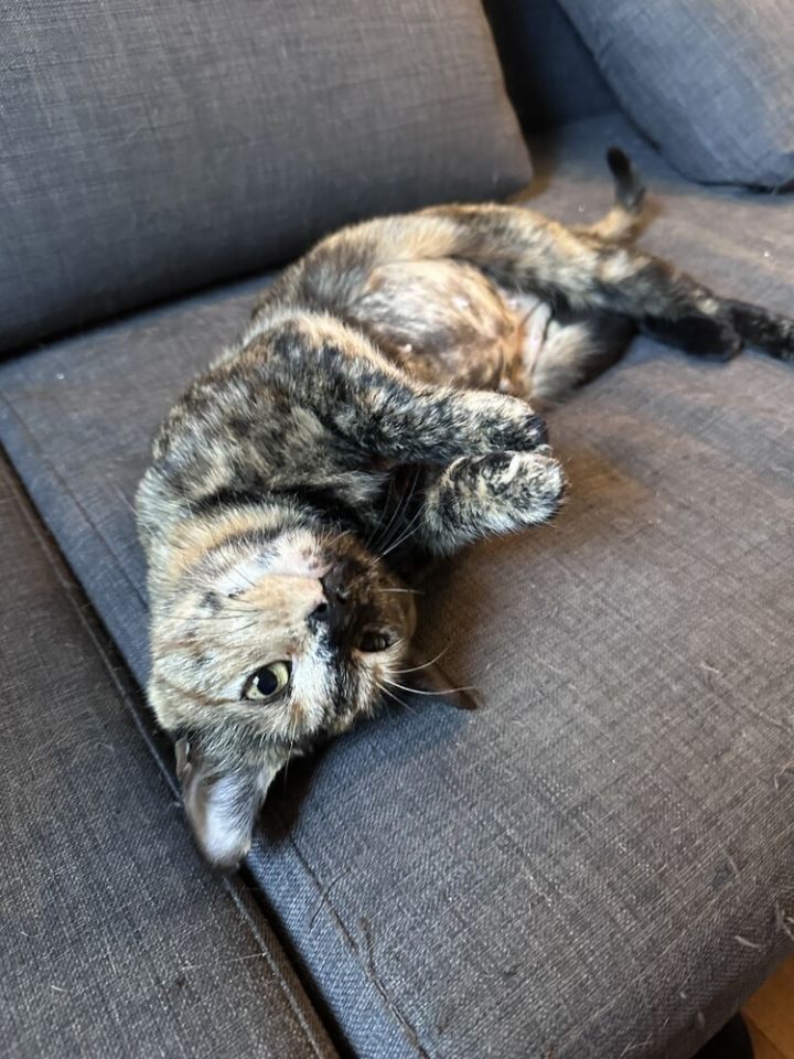 Lil' Mama 2