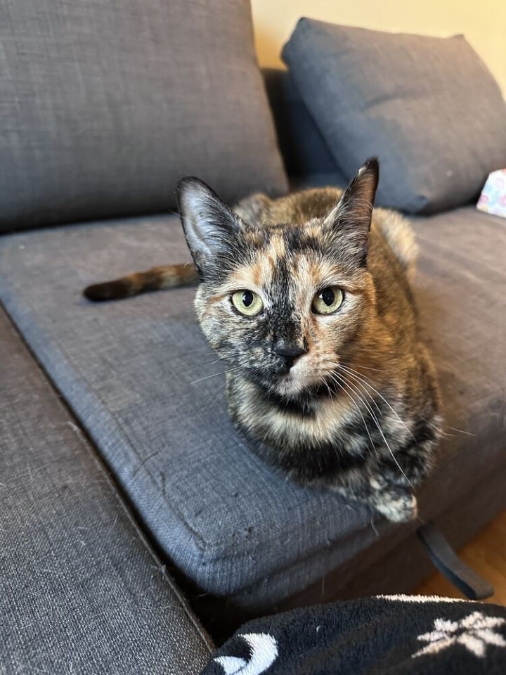 Lil' Mama 3
