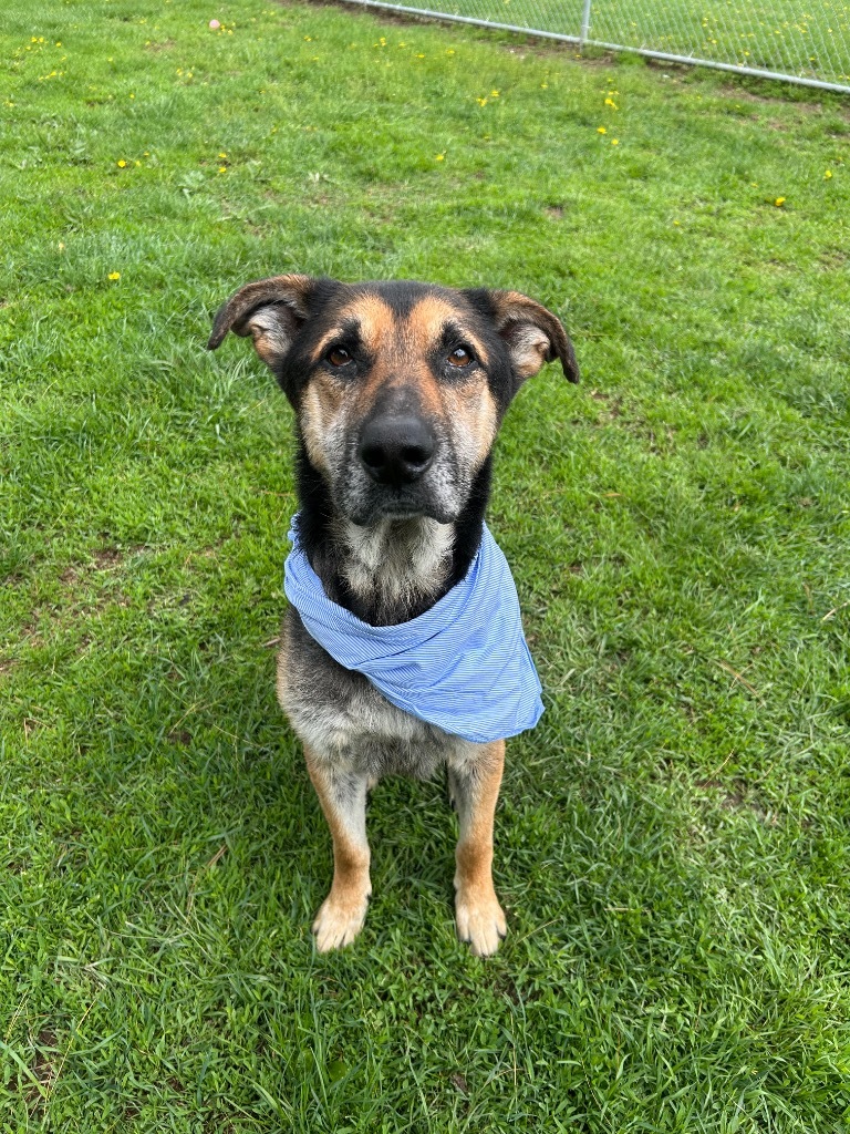 Max