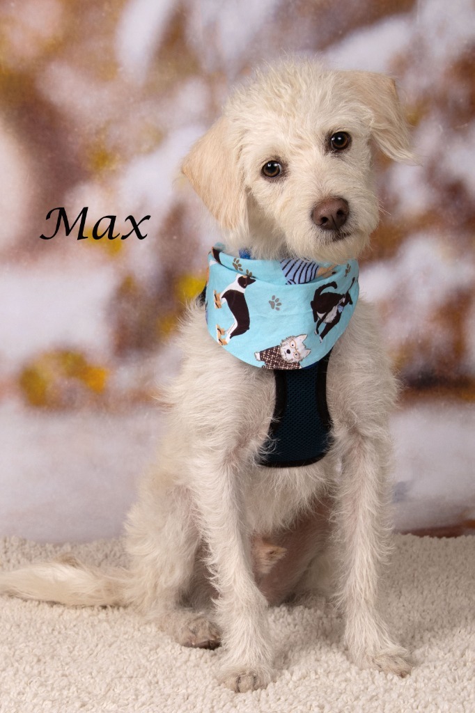 Max