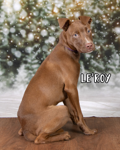 Le`Roy