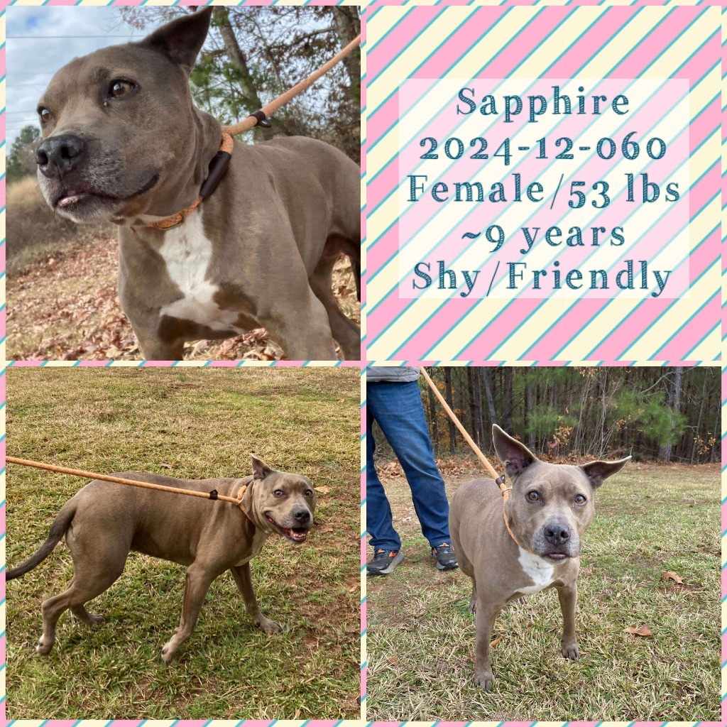 2024-12-060 *Sapphire*