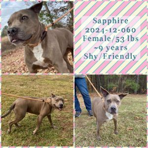 2024-12-060 *Sapphire*, Senior Female unknown