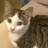 Presley photo 2