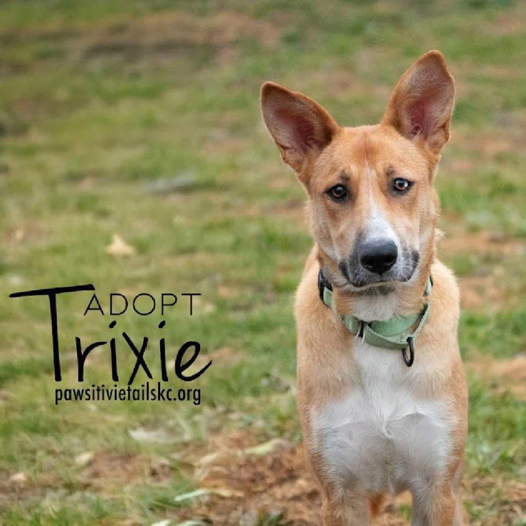 Trixie